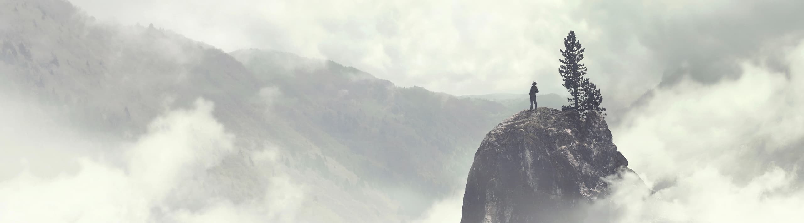 A distant silhouette of a person standing on a rocky mountain peak next to a lone pine tree, surrounded by thick white mist and fog.