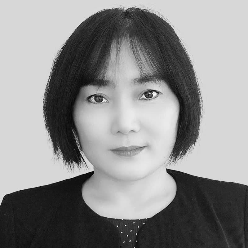 Portrait image of Bo Yang